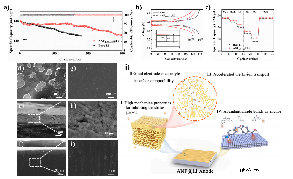 层次化高模量芳纶纳米纤维膜保护层实现高性能锂金属负极