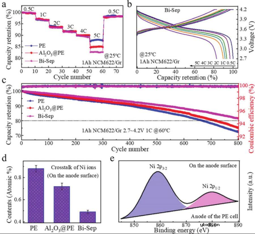 一种双连续隔膜(Bi-Sep)以提高电池安全性 一种双连续隔膜(Bi-Sep)以提高电池安全性