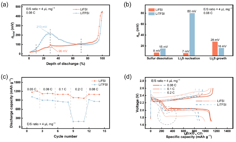 贫电解液锂-硫电池正极的动力学评估