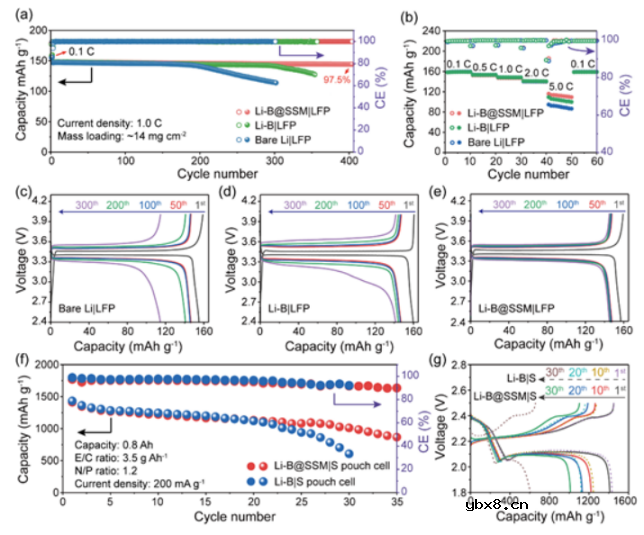 亲锂-疏锂双骨架助力锂金属电池 亲锂-疏锂双骨架助力锂金属电池