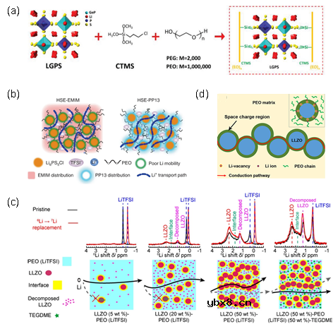 定义充放电离子输运通量概念在固态电池领域的重要作用