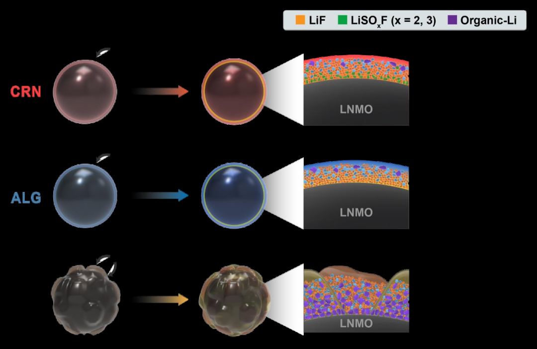 卡拉胶作为5V高压LiNi0.5Mn1.5O4正极牺牲粘合剂! 卡拉胶作为5V高压LiNi0.5Mn1.5O4正极牺牲粘合剂!