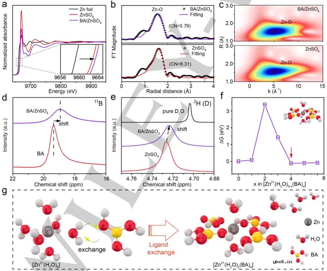 如何解决锌成核/溶解动力学与HER抑制能力之间的内在权衡