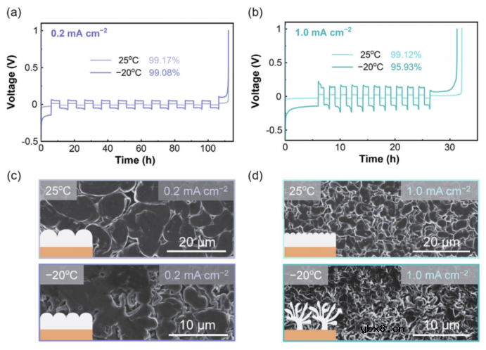 打开稳定低温锂金属负极的极化和可逆性限制