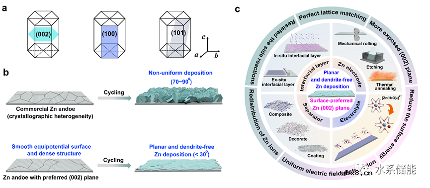 优选(002)晶面的锌负极对实现平面无枝晶锌沉积的重要性