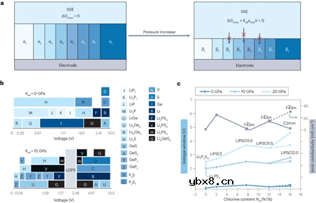 固态锂金属电池的外部压力研究 固态锂金属电池的外部压力研究