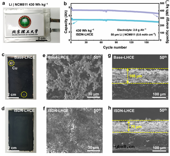 利用纳米级结构调控改善稳定锂金属电池固体电解质界面的均匀性