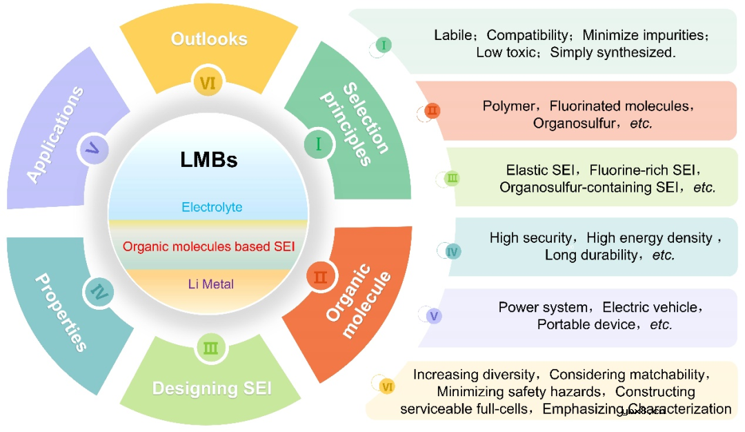 分子策略构筑高能量密度锂金属电池的研究进展 分子策略构筑高能量密度锂金属电池的研究进展