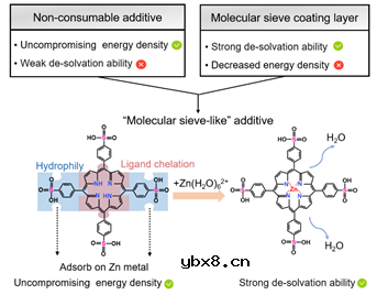 卟啉螯合配体添加剂作为长效锌金属电池的分子筛界面屏障