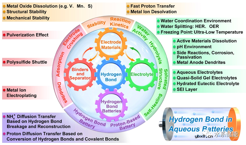全面论述水系电池中氢键关键作用！