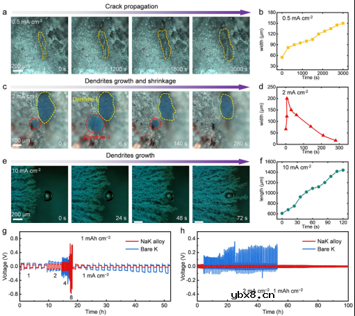 原位可视化揭示钠-钾液态合金电池中的共沉积现象