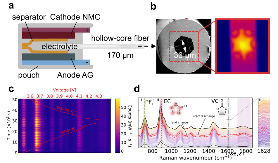 国家杰青黄云辉教授/李真教授：光纤传感技术在可充电电池健康监测中的应用