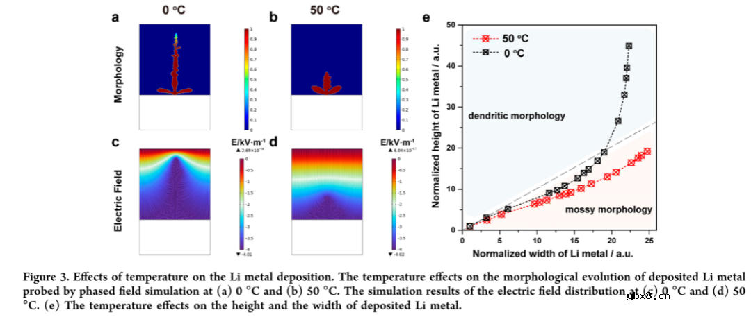 阐明锂金属电池中与温度相关的锂沉积/剥离过程以及非活性锂的演变