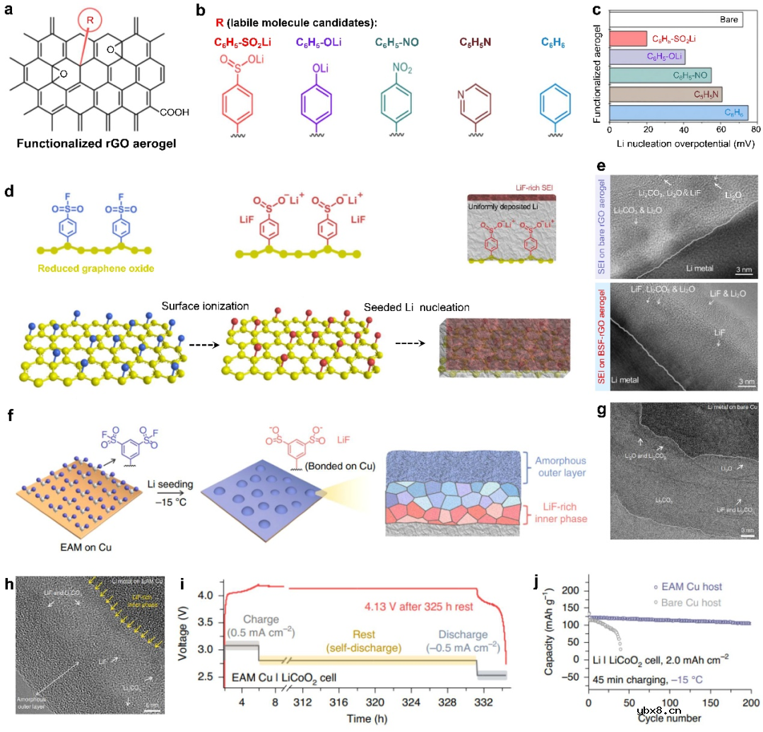 分子策略构筑高能量密度锂金属电池的研究进展 分子策略构筑高能量密度锂金属电池的研究进展