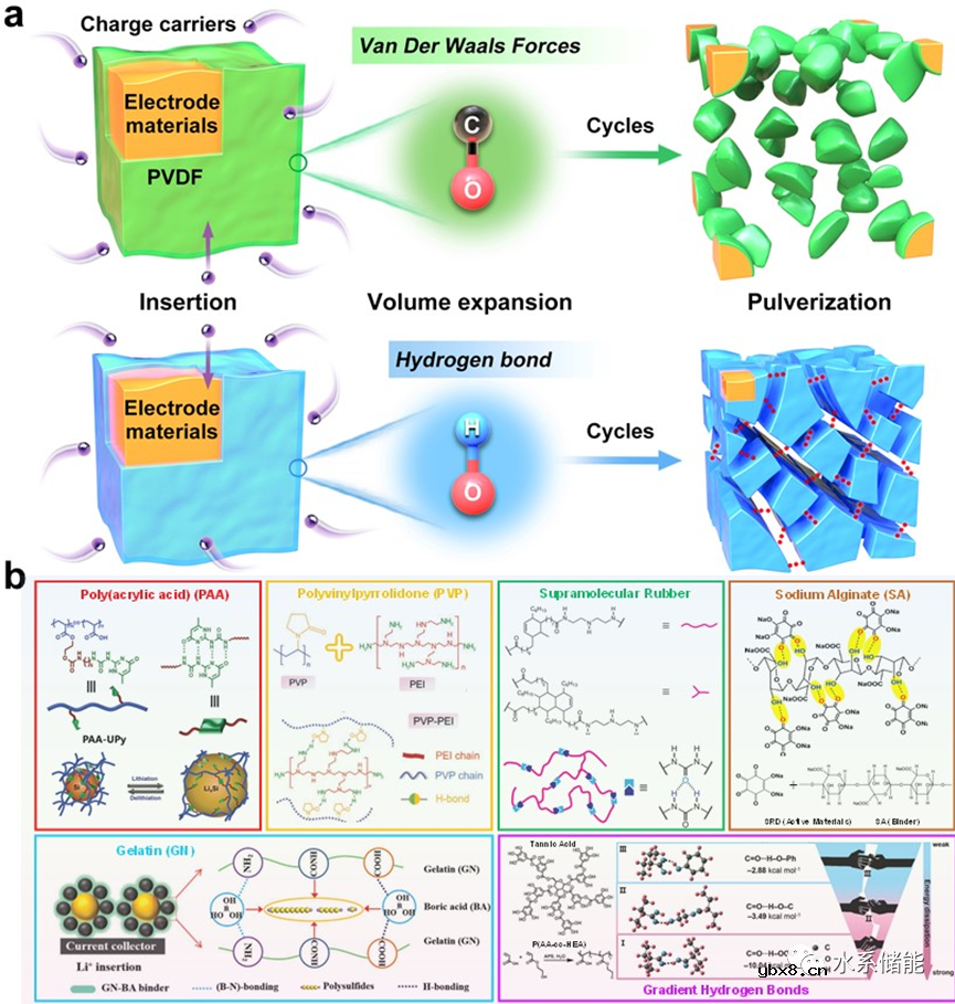 全面论述水系电池中氢键关键作用! 全面论述水系电池中氢键关键作用!