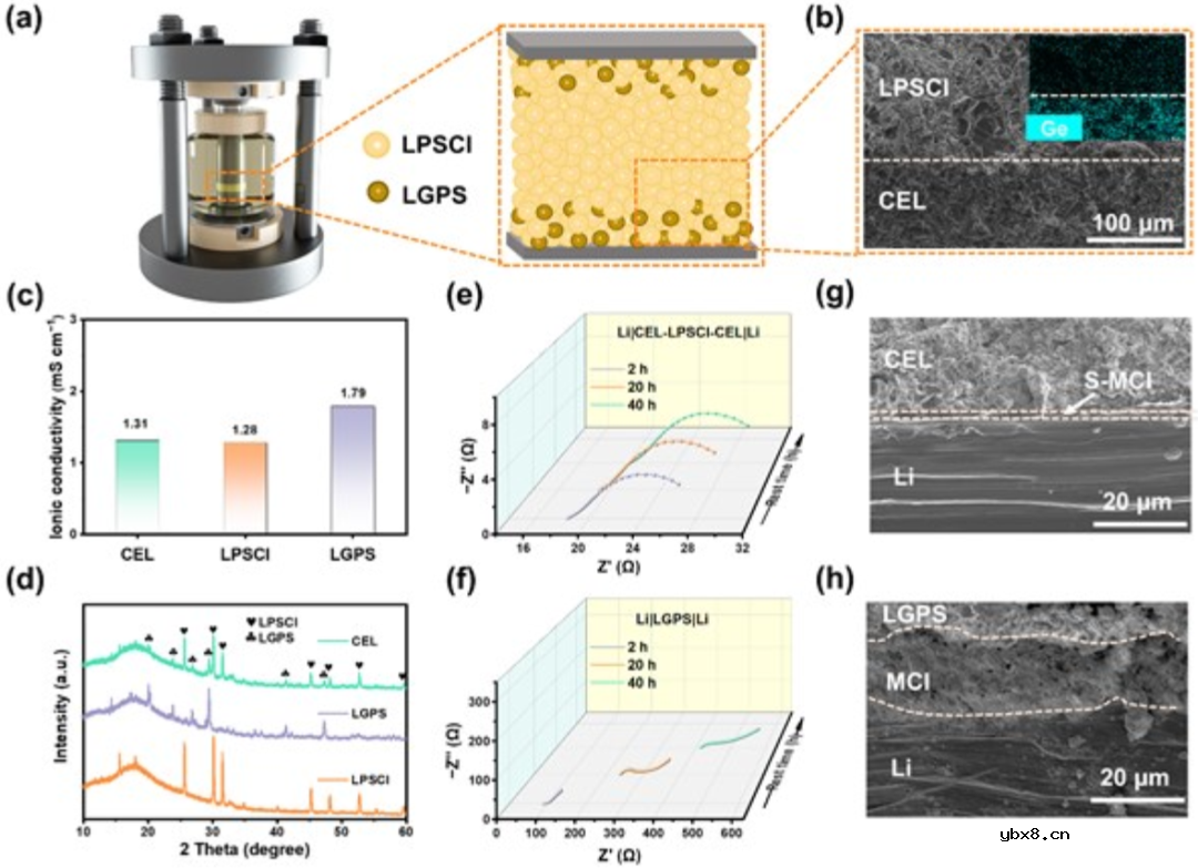 混合导电界面实现长寿命、全固态锂金属电池