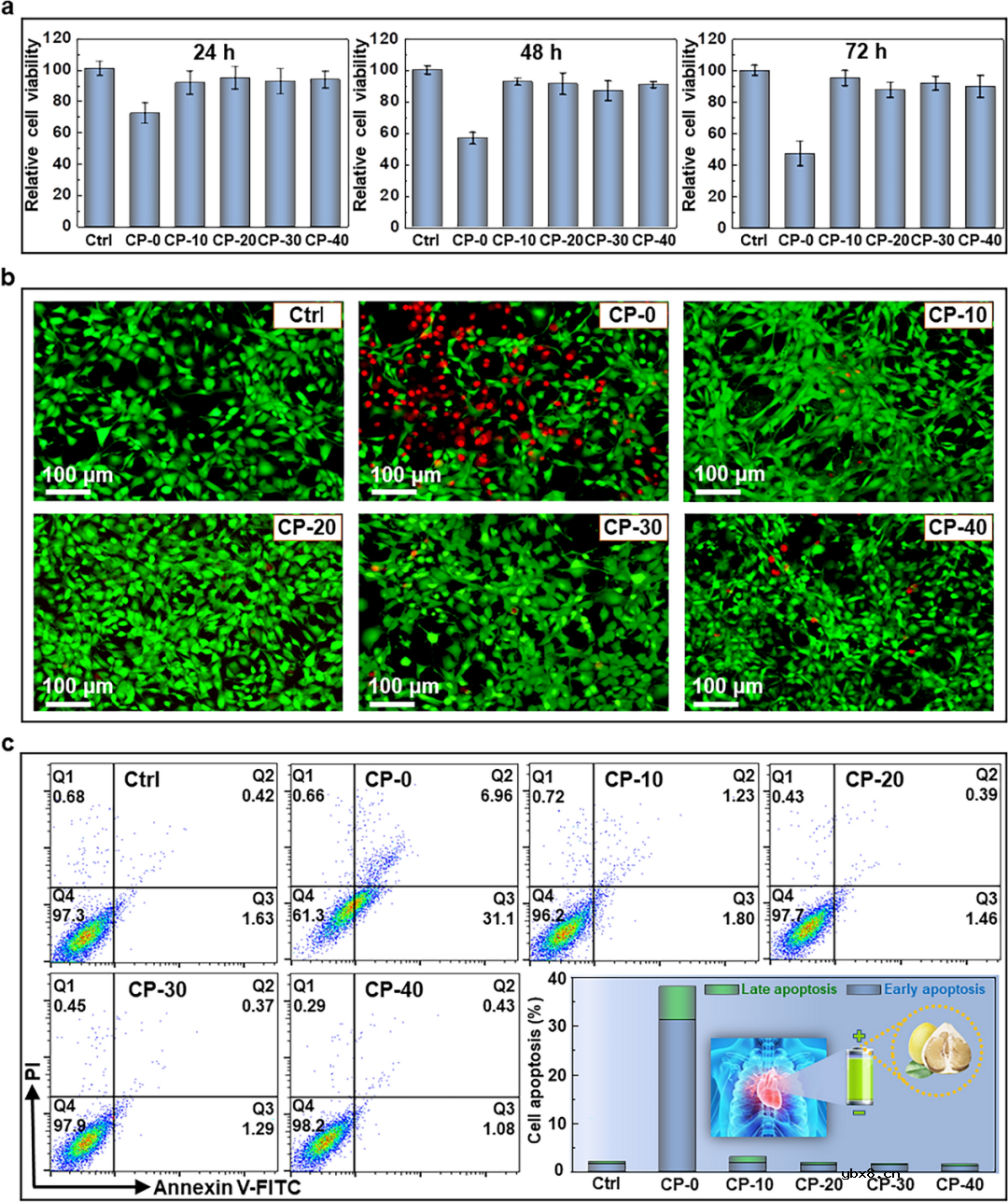 开发一种生物兼容性水系Zn-MnO2电池正极—生物质碳集成策略