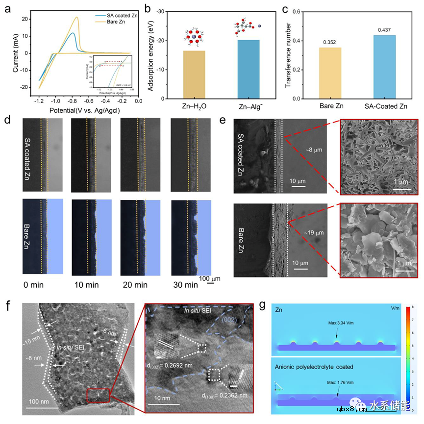仿生设计助力高稳定性锌离子电池