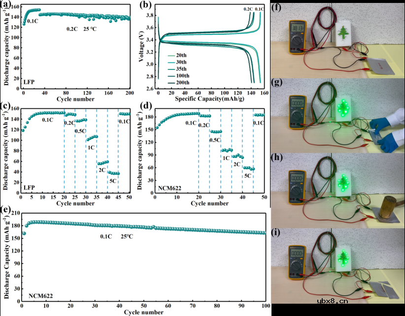 锂金属电池室温固态聚合物电解质的锂离子传导机制