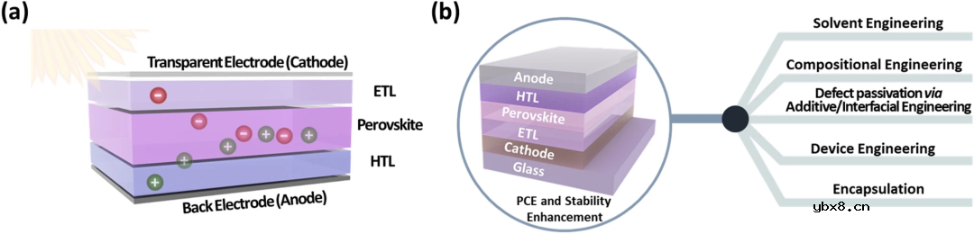 钙钛矿太阳能电池的MXenes界面工程综述