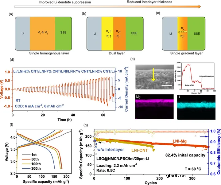 全固态锂金属电池负极界面设计 全固态锂金属电池负极界面设计
