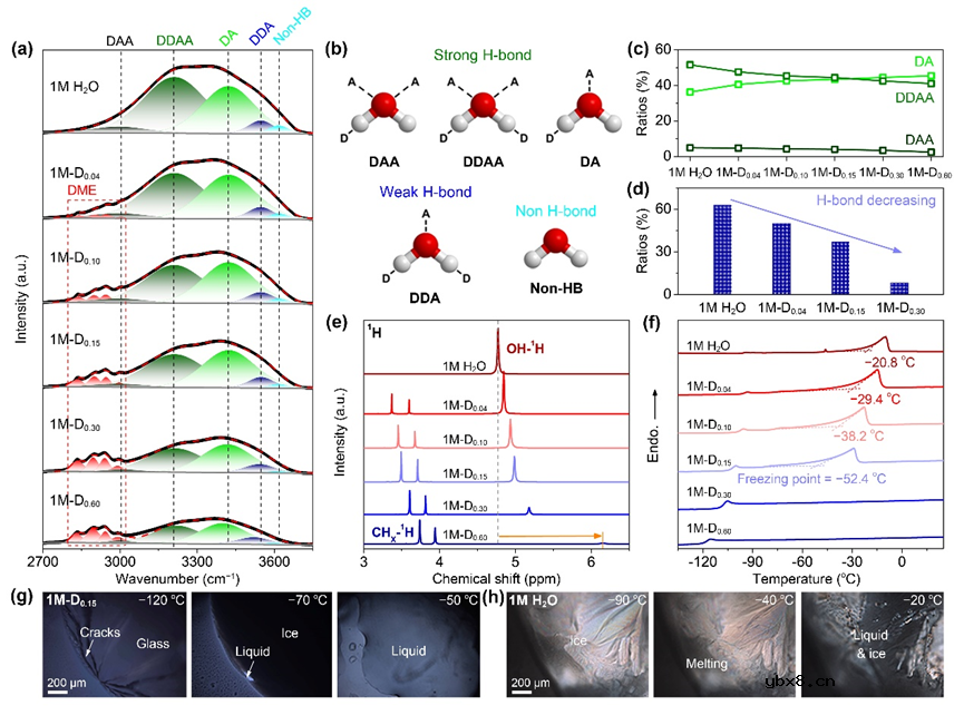 细胞核结构电解液助力低温水系锌电池