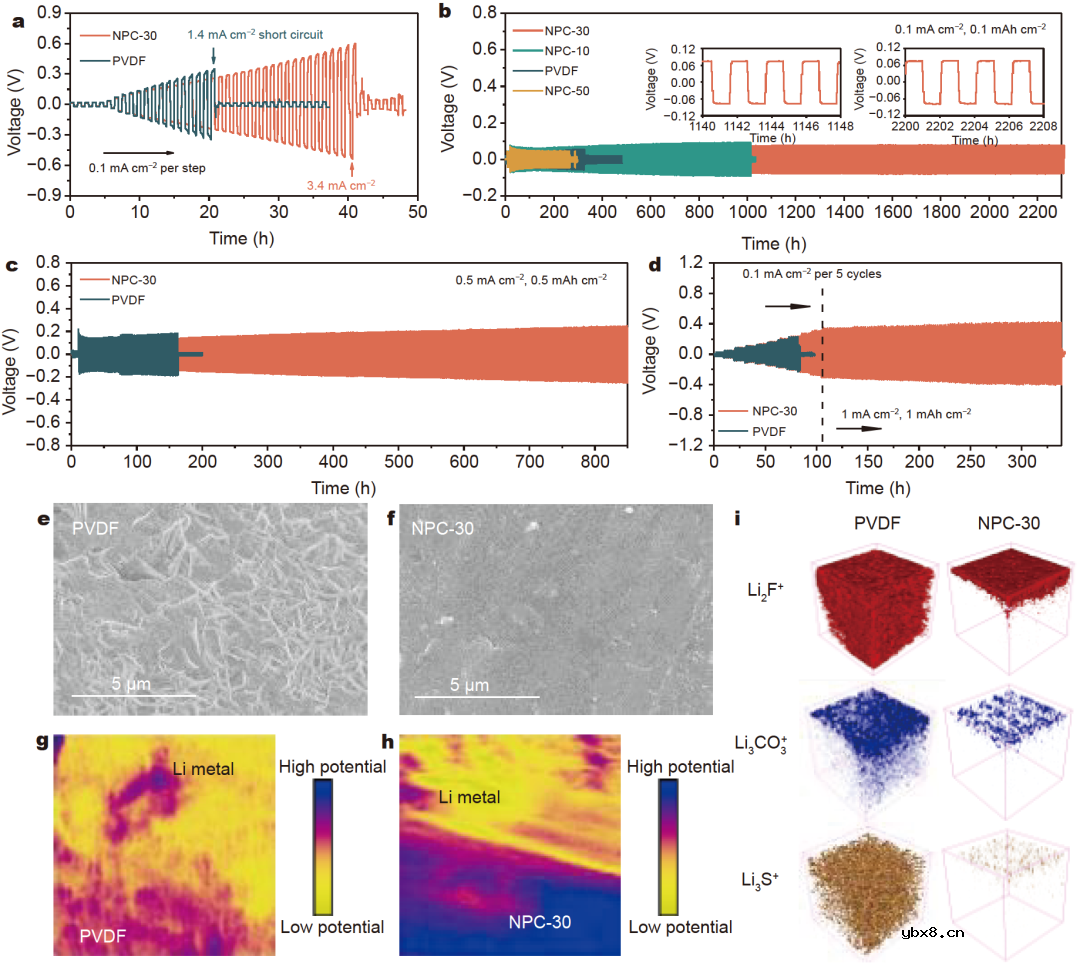 铌酸锂调控固态电解质电场结构促进锂离子高效传输！