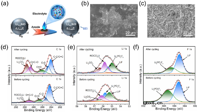 调控Li+溶剂化结构实现硅基负极高效预锂化 调控Li+溶剂化结构实现硅基负极高效预锂化