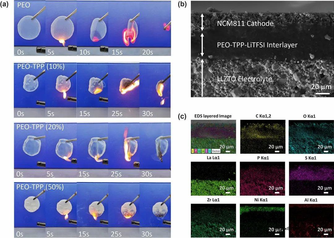 使用多功能正极缓冲层增强石榴石基全固态锂电池的高温循环稳定性