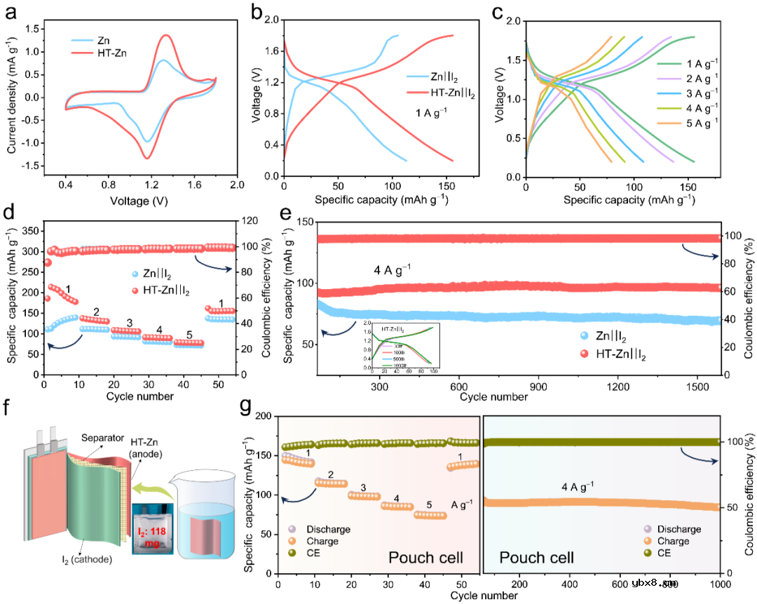 自组装硫醇分子层抑制枝晶和电极腐蚀助力稳定水系锌电池