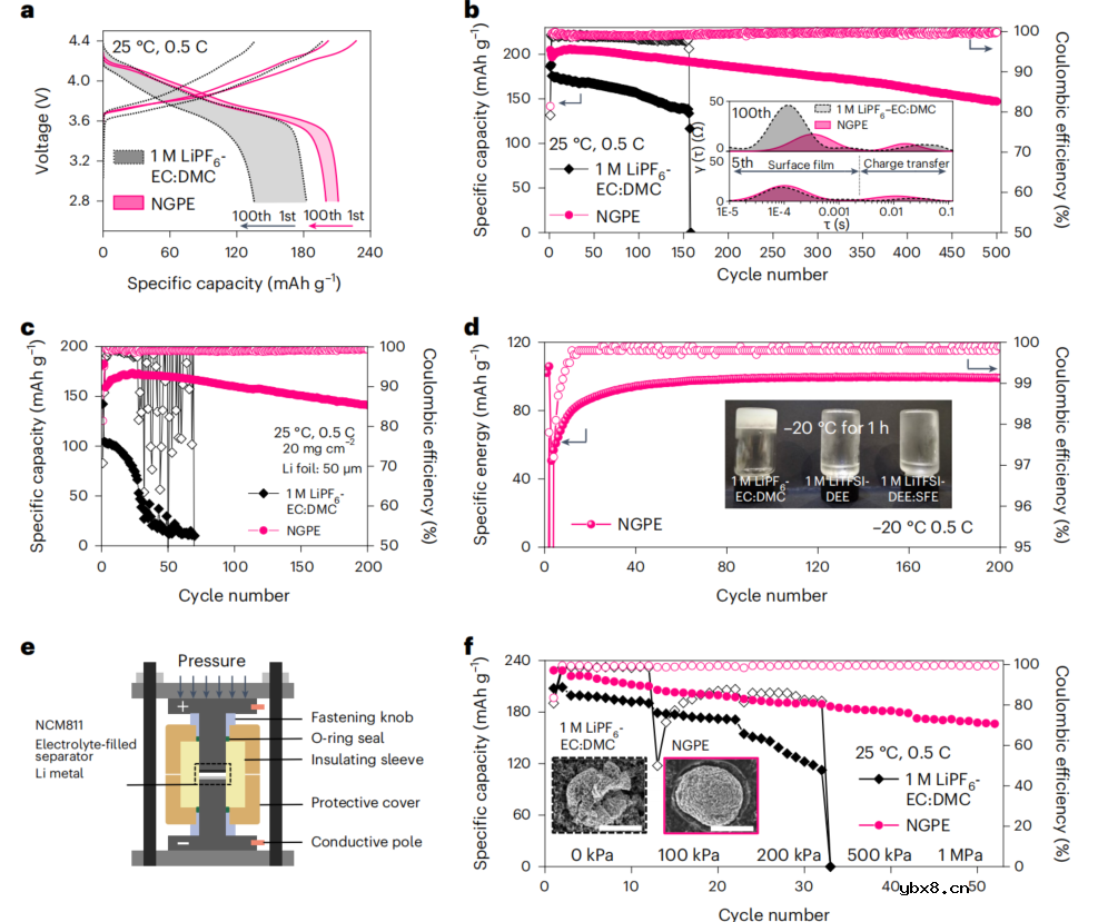 磷腈基凝胶电解质助力极端工况高安全锂金属电池