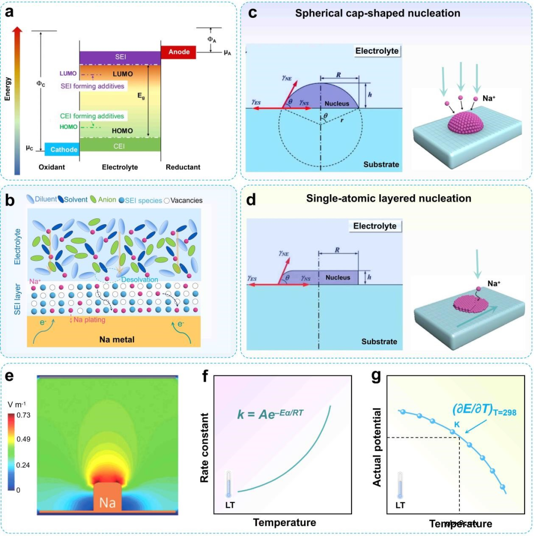 宽温域钠金属电池研究进展