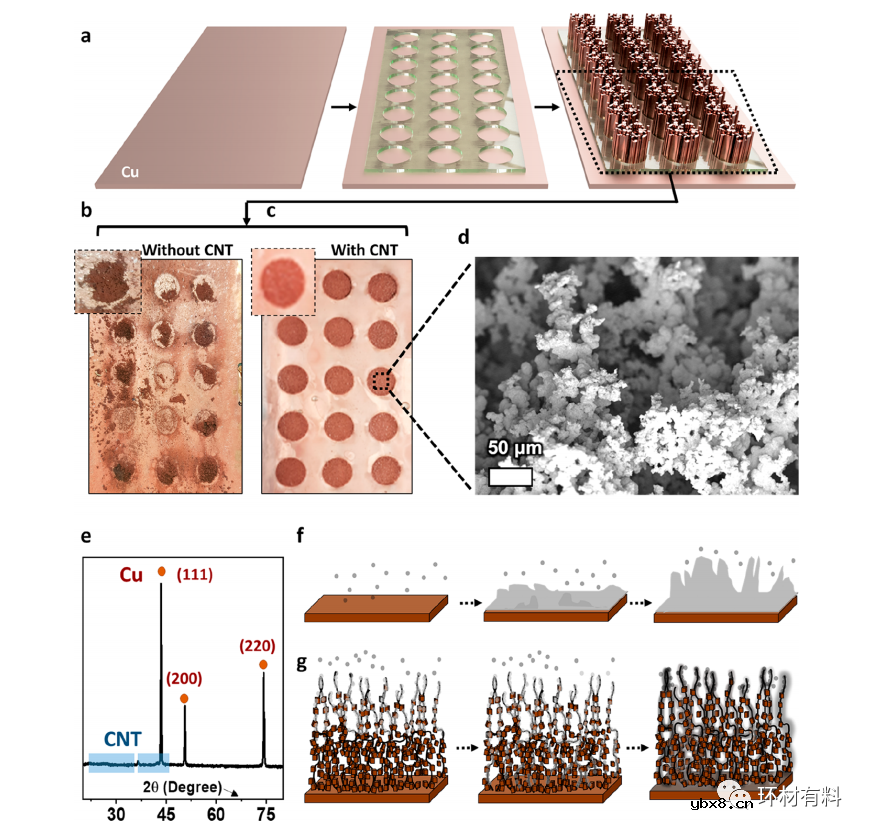 用于稳定锂金属电池阳极的3D多孔Cu复合材料