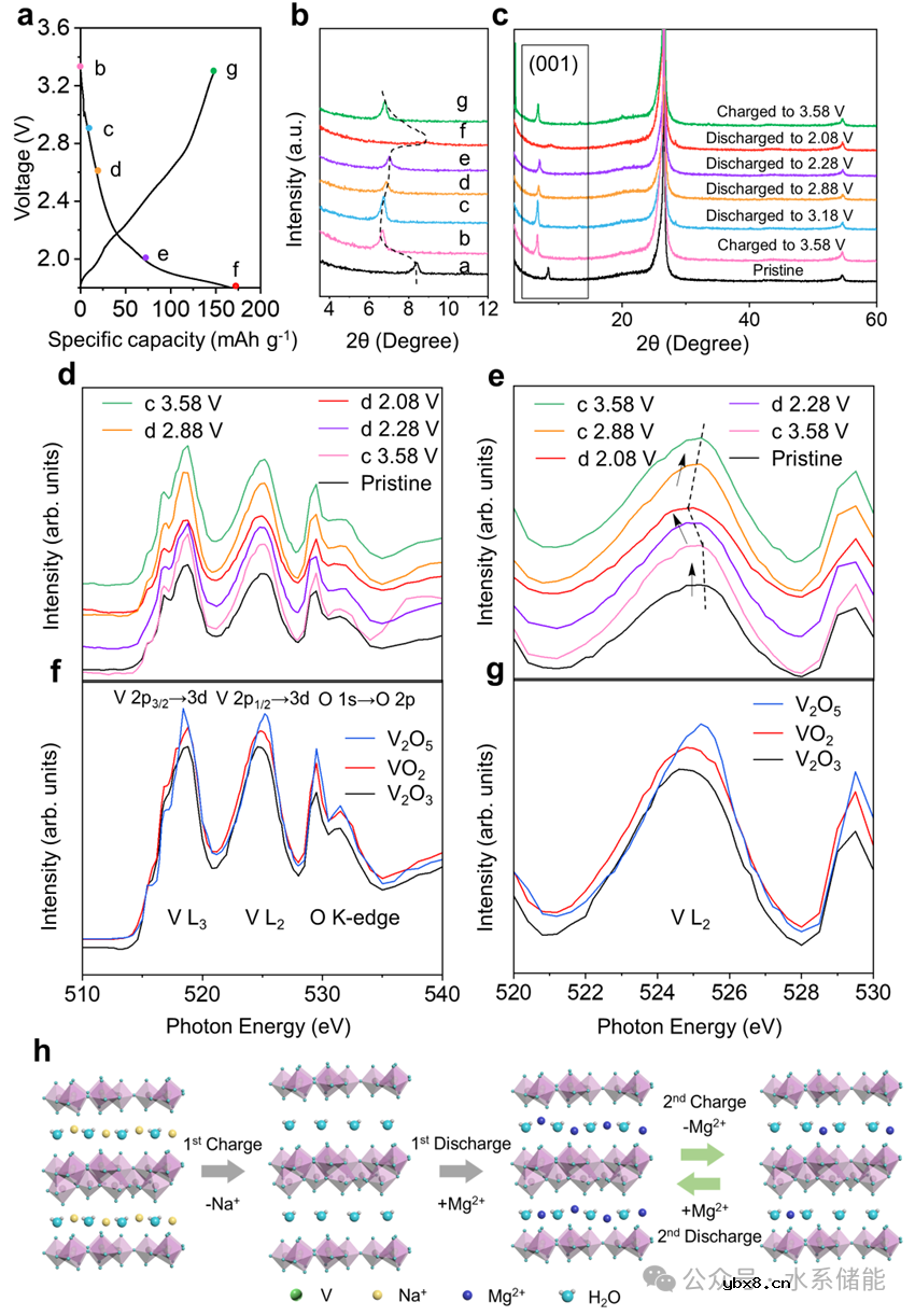 三元深共晶电解液诱发形成具有呼吸效应的固体电解质界面用于长寿命水系镁离子电池