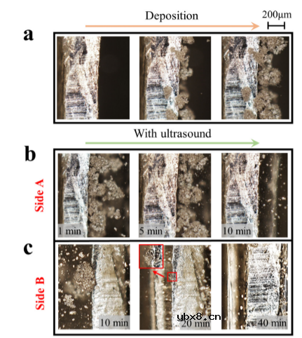 超声波克服了锂金属电池中的枝晶击穿问题！