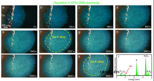 原位可视化揭示钠-钾液态合金电池中的共沉积现象