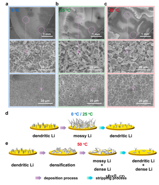 阐明锂金属电池中与温度相关的锂沉积/剥离过程以及非活性锂的演变