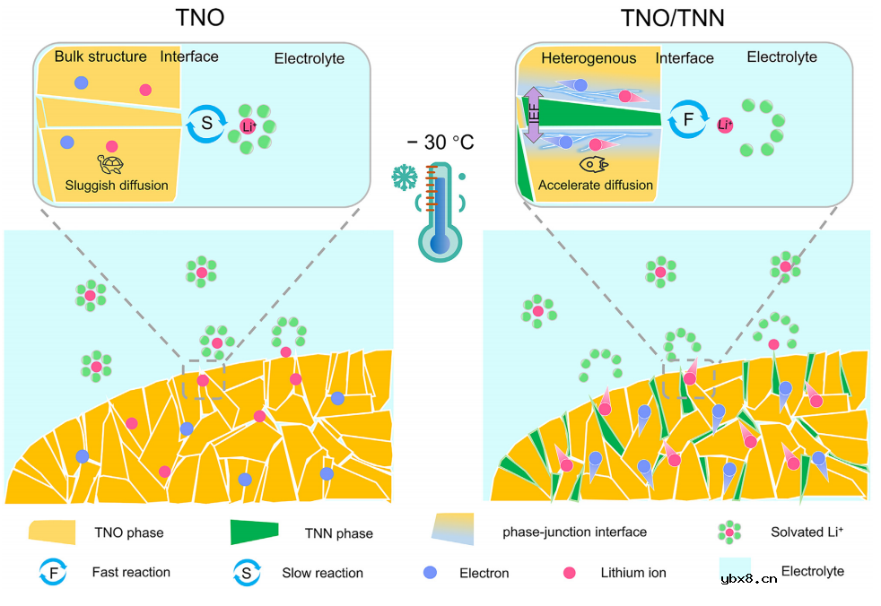 相结工程触发内置电场助力-30℃快充电池