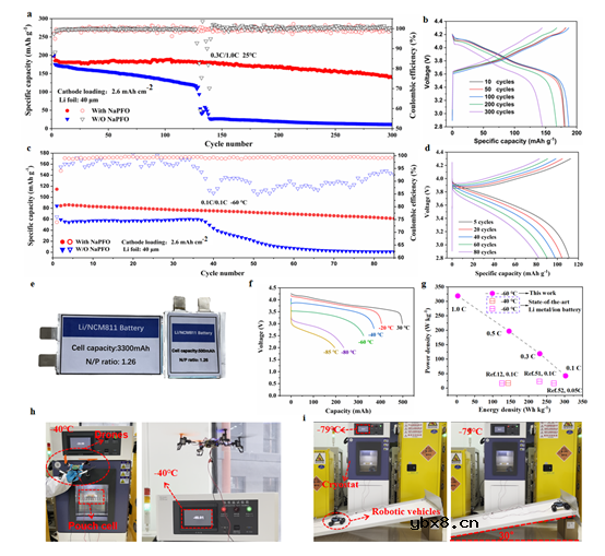 超分子不对称盐界面自组装实现超低温下的功率密度锂金属电池 超分子不对称盐界面自组装实现超低温下的功率密度锂金属电池