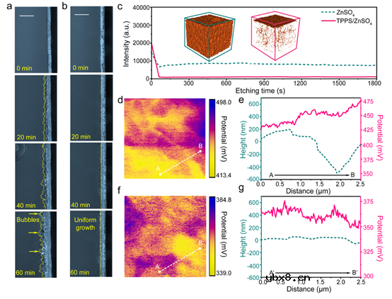 卟啉螯合配体添加剂作为长效锌金属电池的分子筛界面屏障