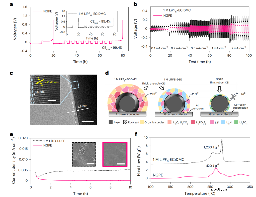 磷腈基凝胶电解质助力极端工况高安全锂金属电池