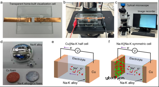 原位可视化揭示钠-钾液态合金电池中的共沉积现象