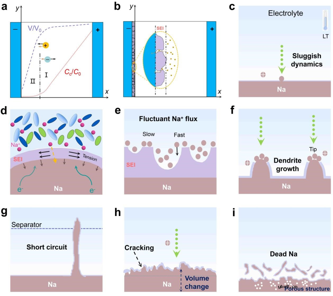 宽温域钠金属电池研究进展