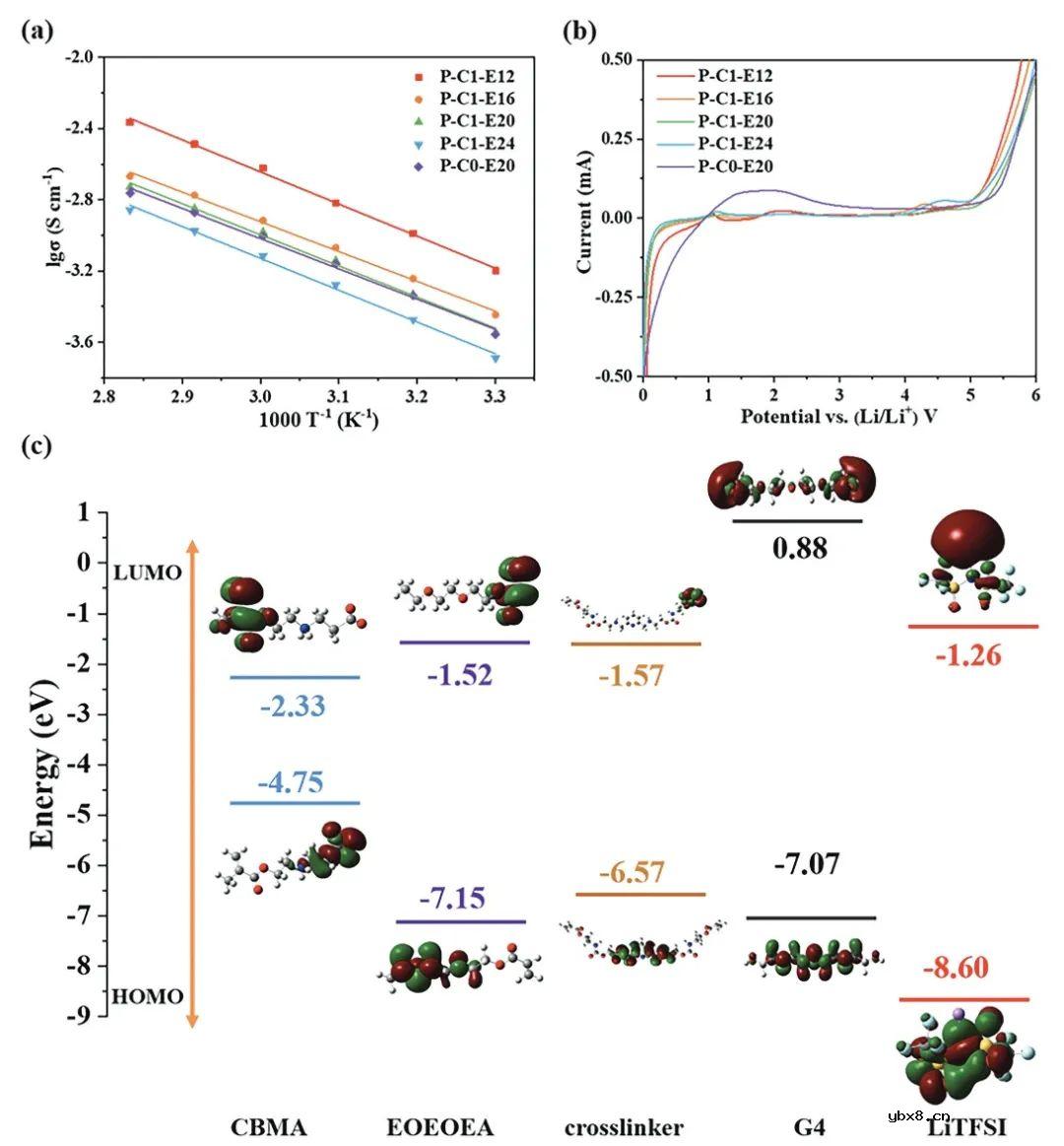 锂金属电池正负离子协同调节功能的两性离子聚合物电解质的原位构建