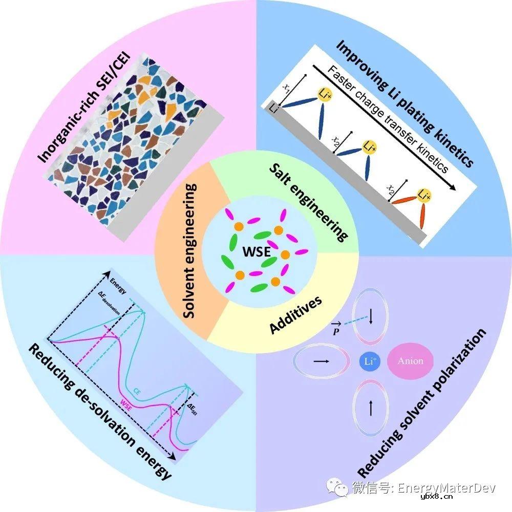 人工界面修饰助力高性能锂金属电池的最新研究进展与展望！