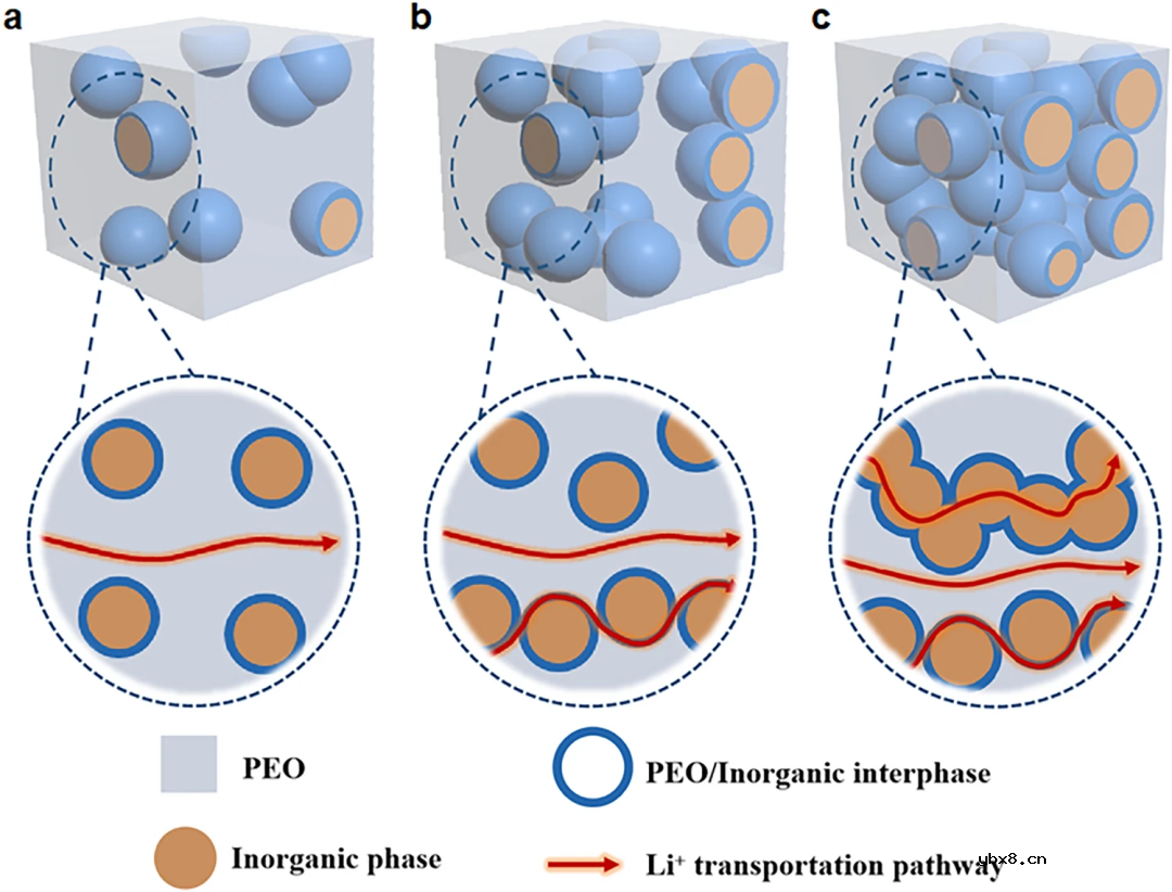 锂金属电池用高性能PEO/陶瓷复合固体电解质的合理设计