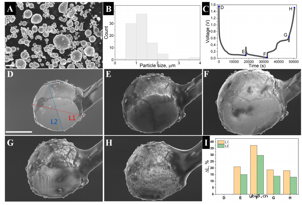 用于钠离子电池微尺寸锡负极的原位显微镜和光谱表征