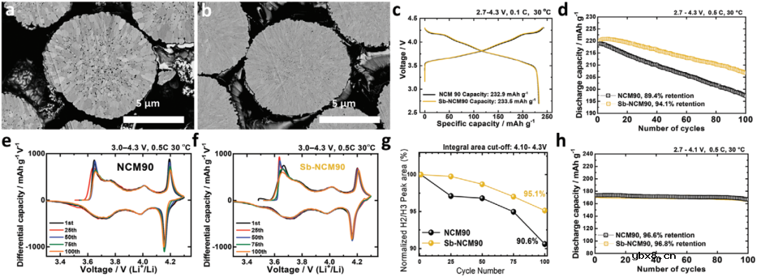 高镍正极在满电状态下的降解机理及锑掺杂改性