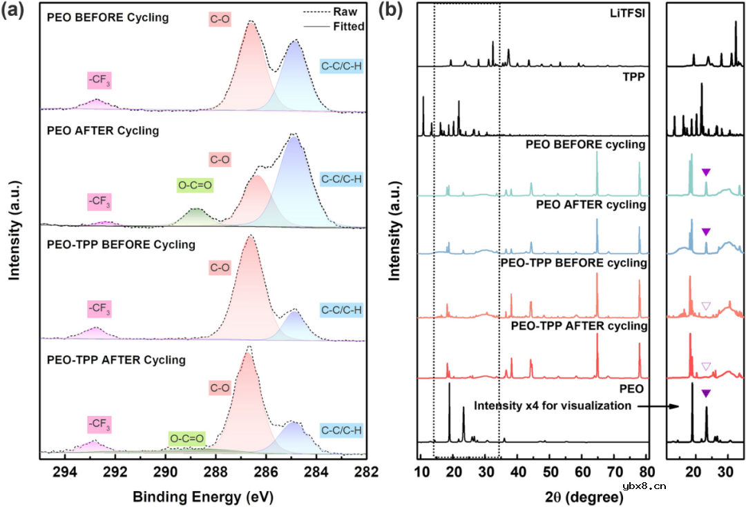 使用多功能正极缓冲层增强石榴石基全固态锂电池的高温循环稳定性