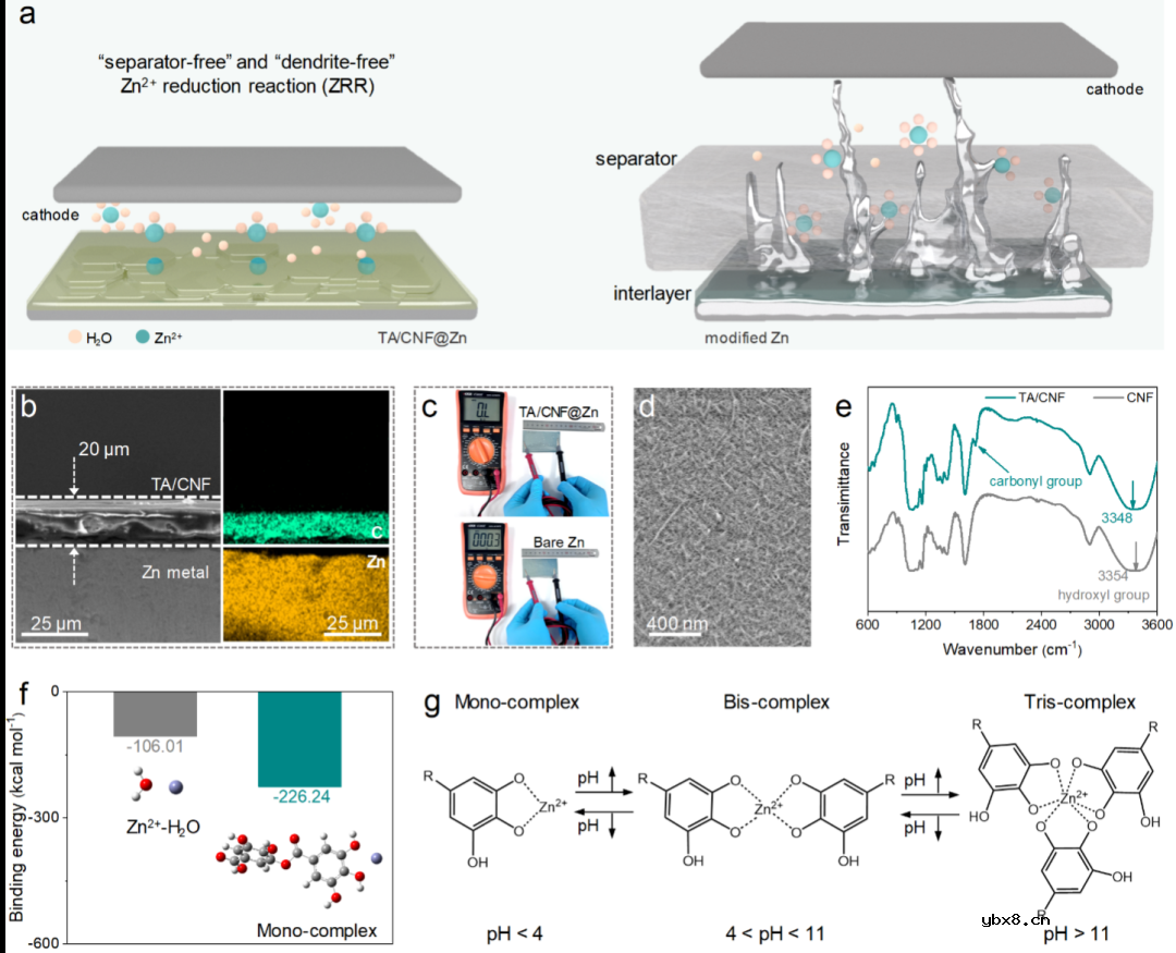 电池"无"隔膜？SEI新"膜"法!